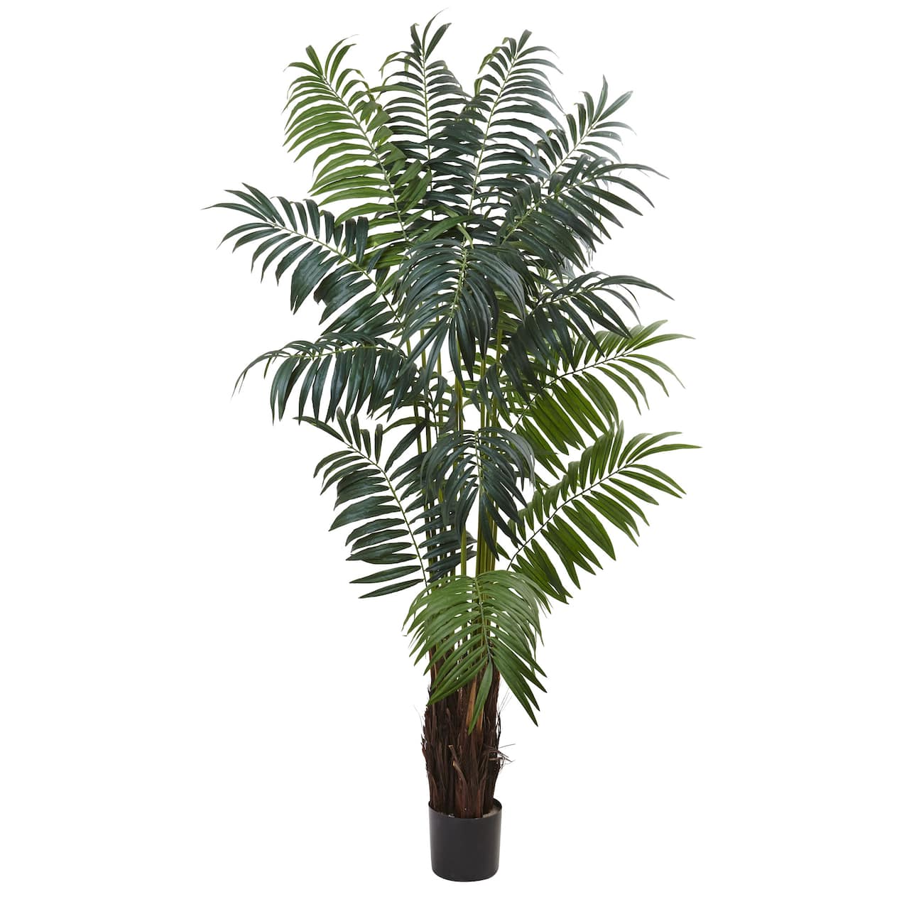 7.5ft. Bulb Areca Palm Tree